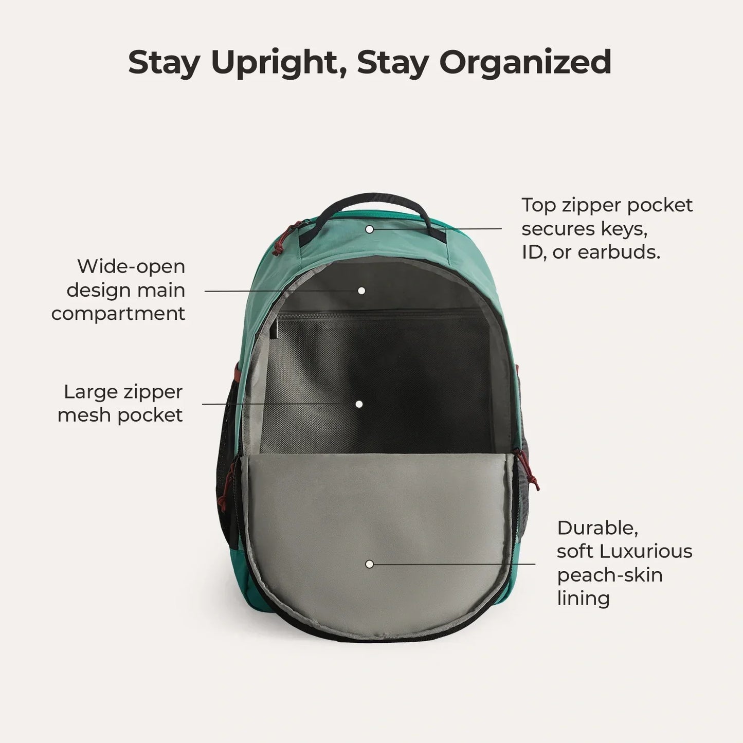 Focus 15.6" Laptop Backpack